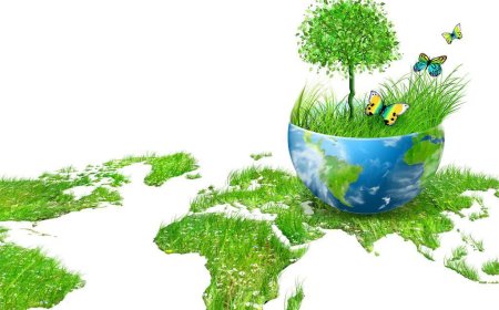 Филозофија о превише