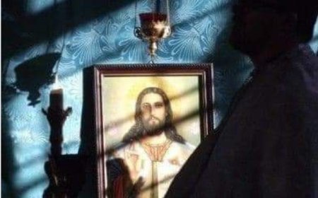 O расуђивању