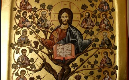 Усрдно хитај ка Христу