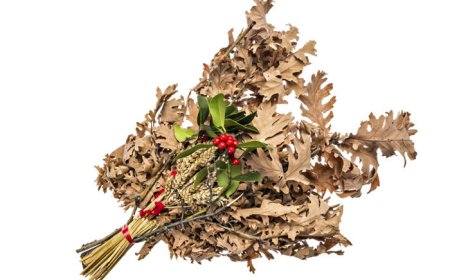 Реч о Бадњаку