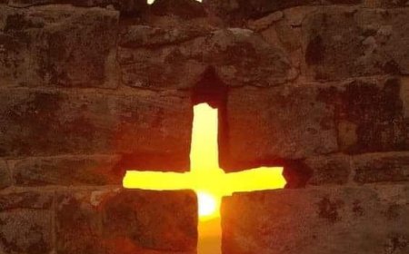 У чему је моја кривица?