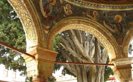 Ниједан позив сам по себи није спасоносан