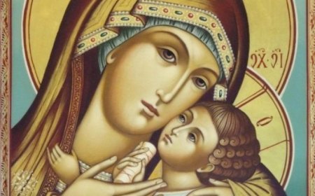 Носити бреме другога