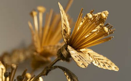 Господе, дај ми да заборавим!