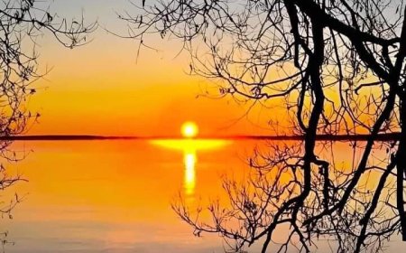 Иван Јовић - Кратки есеј о захвалности за неуспехе