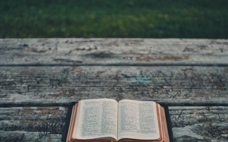 Тумачење псалама (23.)