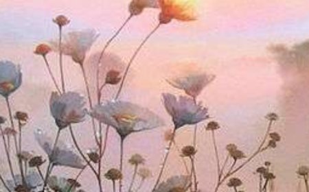 о. Валериј Духањин - Мисли мењају универзум