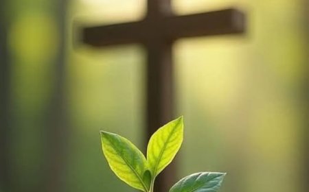 Трпљење нас много чему учи