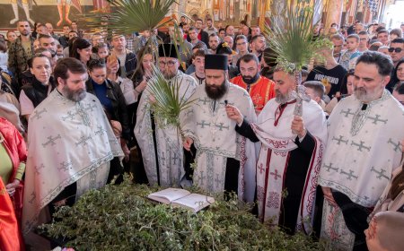 Врбица у Саборном храму