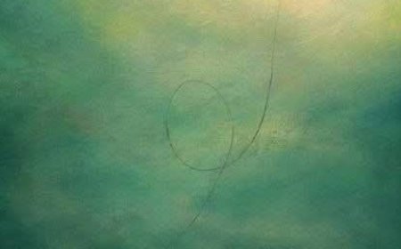 Радоје Домановић - ВОЂА