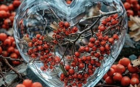 О међусобном утицају душа