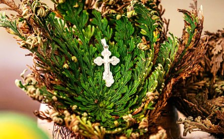 Енергија спокоја