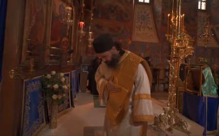 Пастирска брига о људском животу