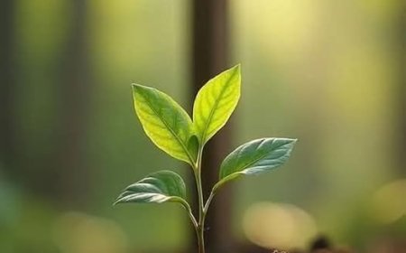 Вера не противречи знању