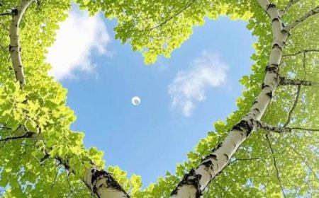 Много подвига је потребно да се задобије права љубав