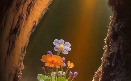 Истина је оно што остане када све илузије падну