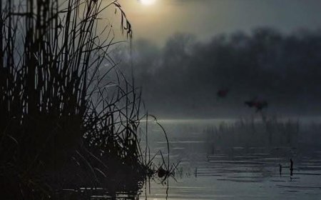 Како пронаћи стрпљење у тузи