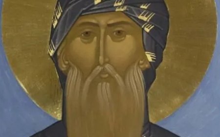 Шта је човеку на корист?