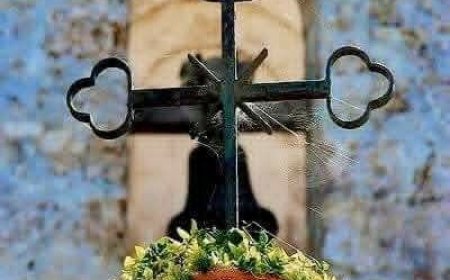 Важније је борити се против узрока греха него против његове пројаве