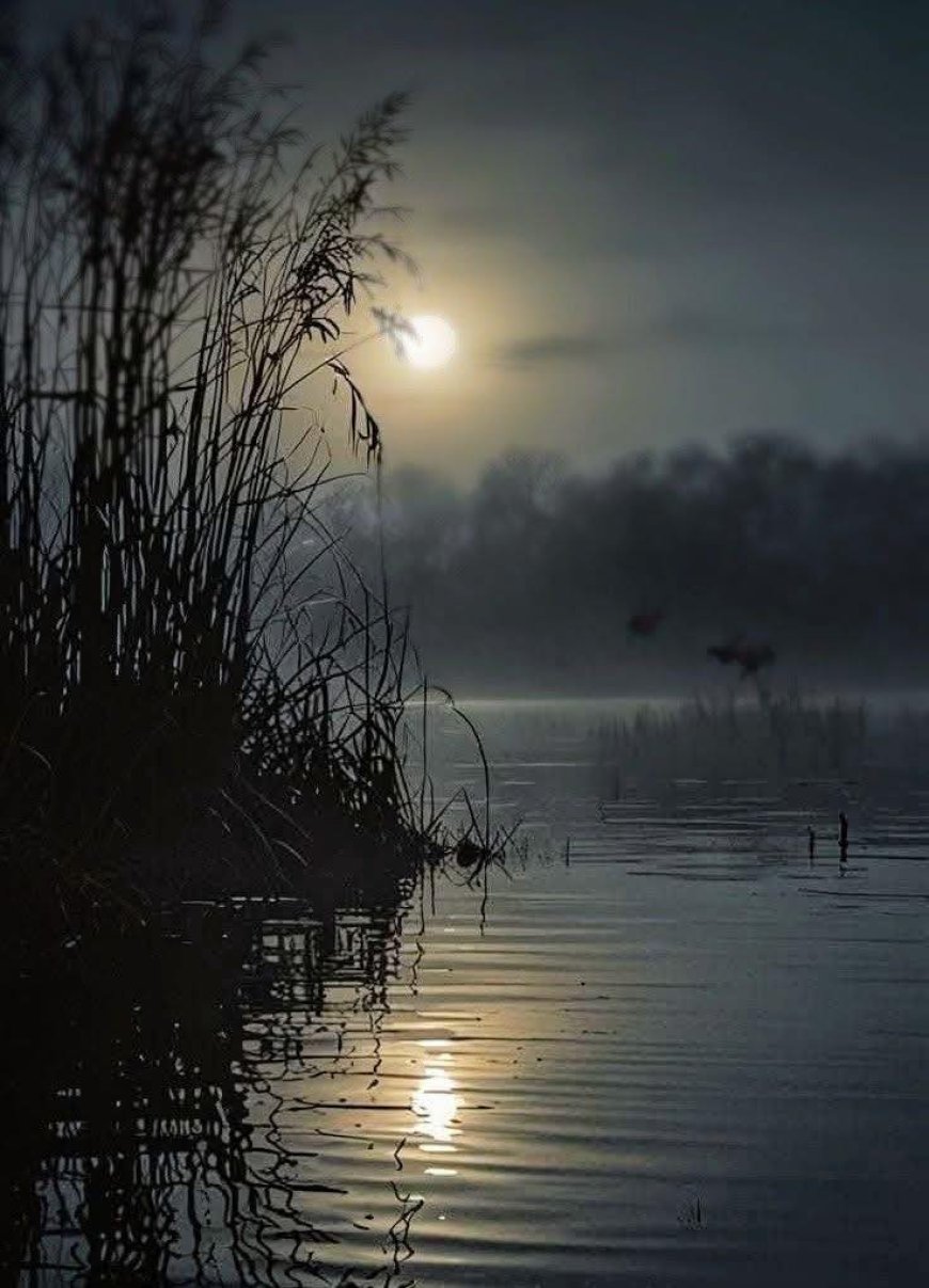 Вера у доба мрака: Зашто је светлост прогнана?