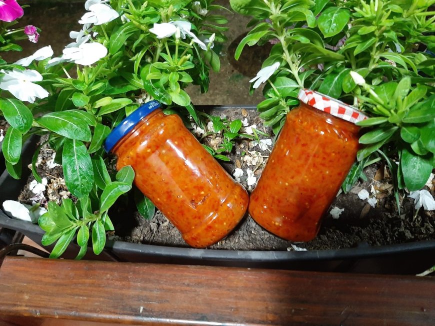 Живот као теглица ајвара