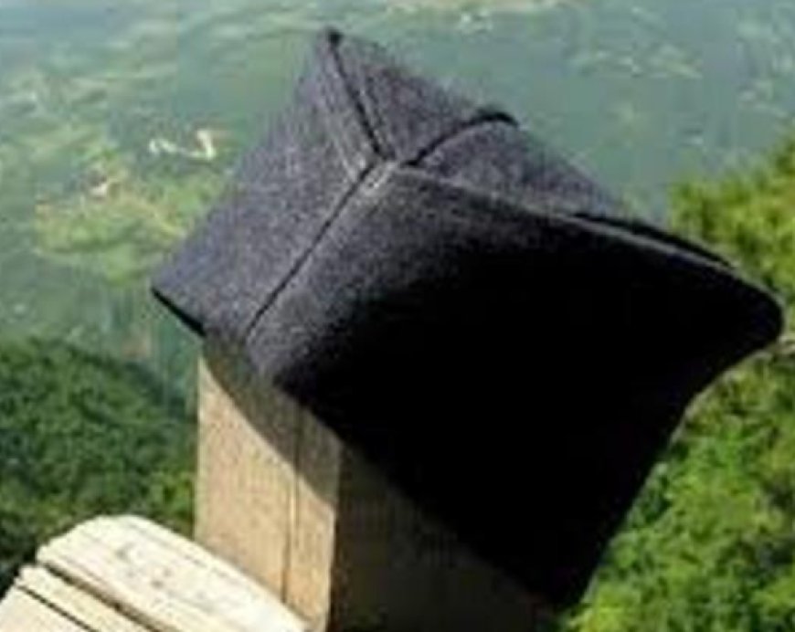 Како је ШАЈКАЧА добила име!?