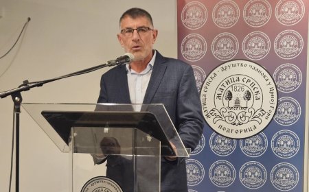 Проф. др Душан Крцуновић нови предсједник Матице српске – Друштва чланова у Црној Гори