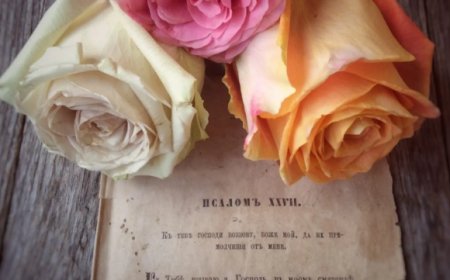 Знате ли шта је непрестани Псалтир?