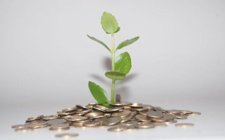 „Клетва новца“: Зашто се корумпирани званичници не плаше пакла?