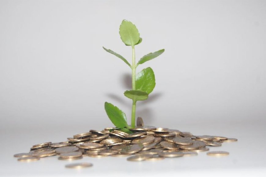 „Клетва новца“: Зашто се корумпирани званичници не плаше пакла?