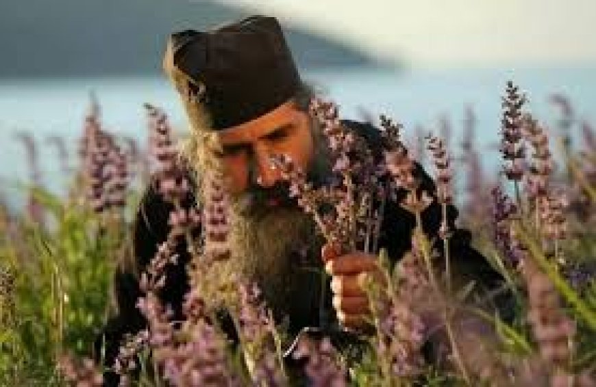 "Ево, све чиним новим." ( Откр.21, 5)