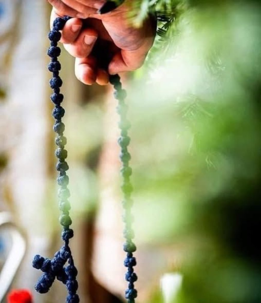 Способност за праштање и покајање у наше време