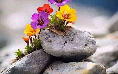 Твој живот – твоја одлука