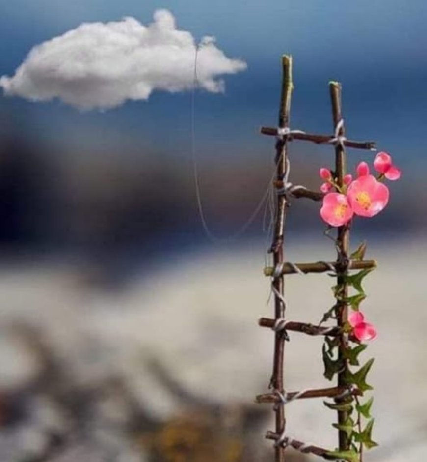 „Не постоји љубав која се не претвара у помоћ.”