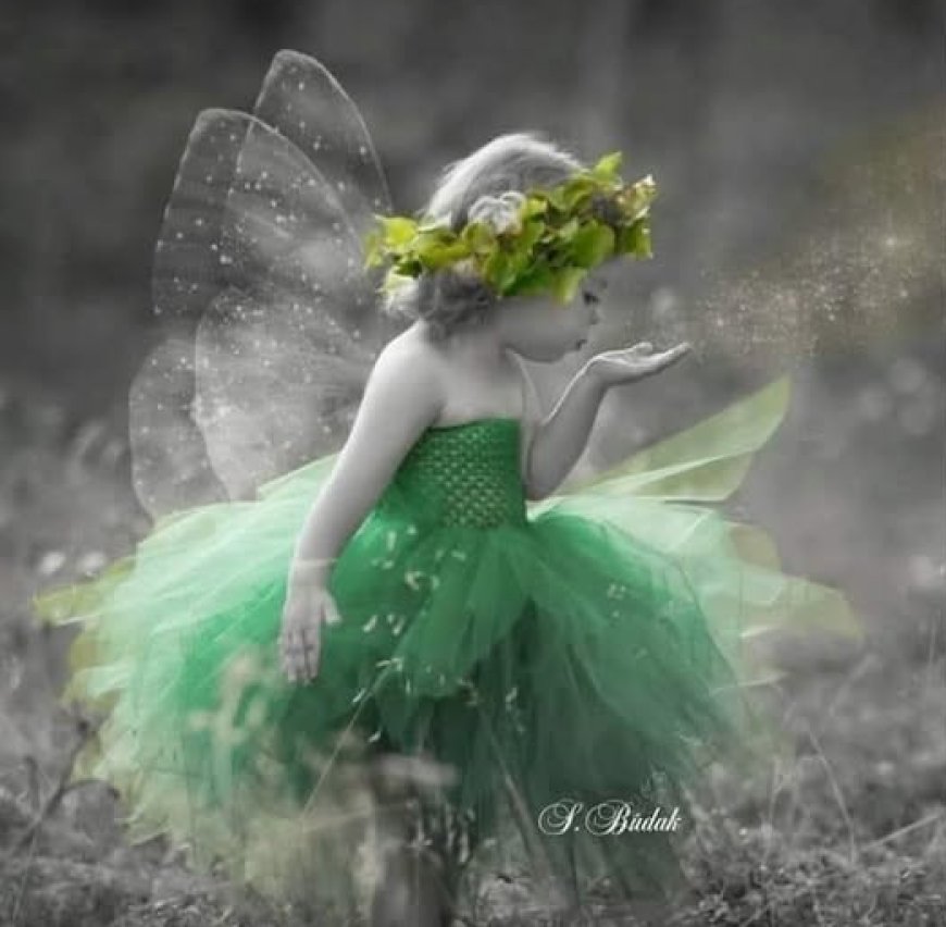 "Господе, научи ме уметности малих корака.''