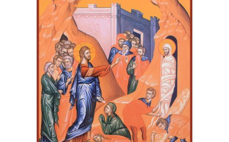 Лазар, наш пријатељ, заспа; него идем да га пробудим. (Јов. 11, 11)