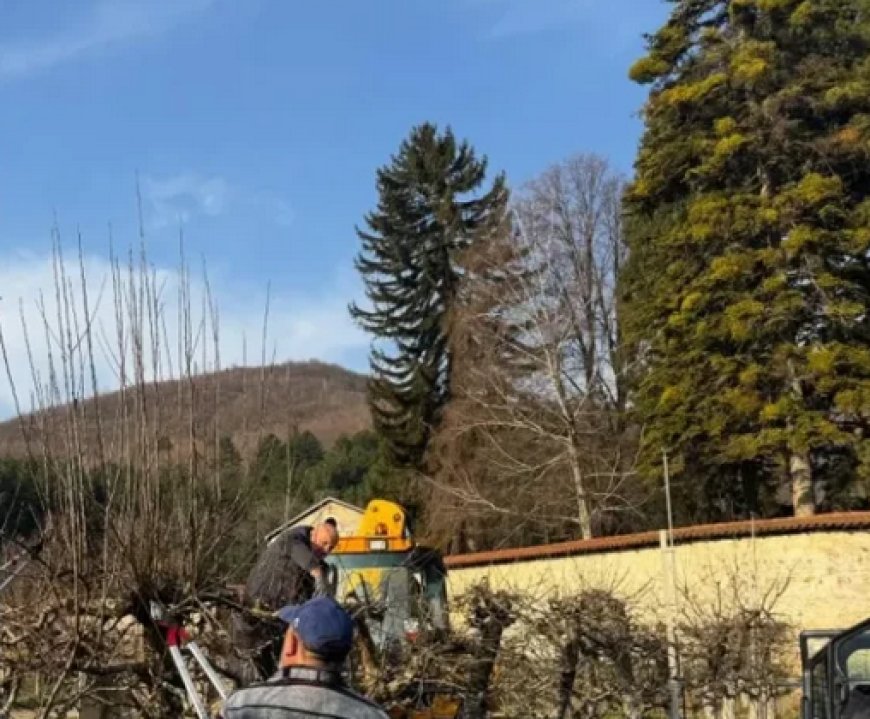 Добровољци из Баната орезали воћњаке у манастиру Дечани