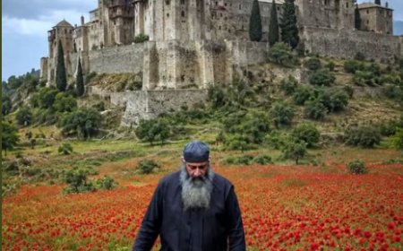 Колико ми је само времена прошло у том одношењу и доношењу метле...